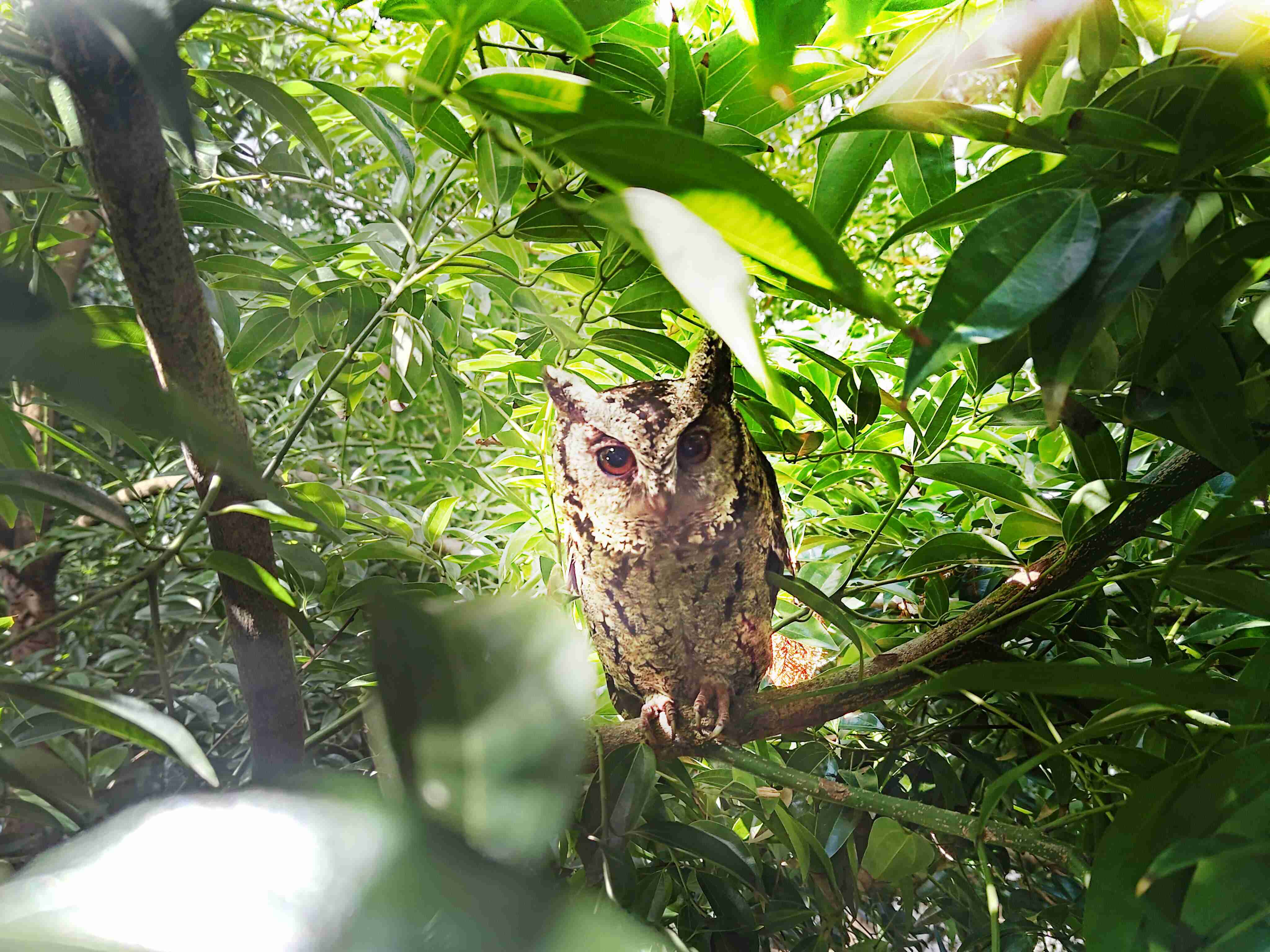 YAXIN111致力提倡净零绿生活，，，16年以来在全球各厂区植树逾百万棵，，，，造就各厂区树木蔚然成林，，，犹如森林工厂，，成为许多生物的栖息地